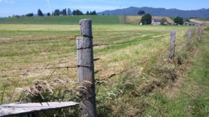 Farm Insurance7